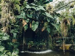 Plantasia Tropical Hothouse